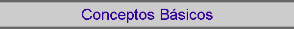 Conceptos Bsicos