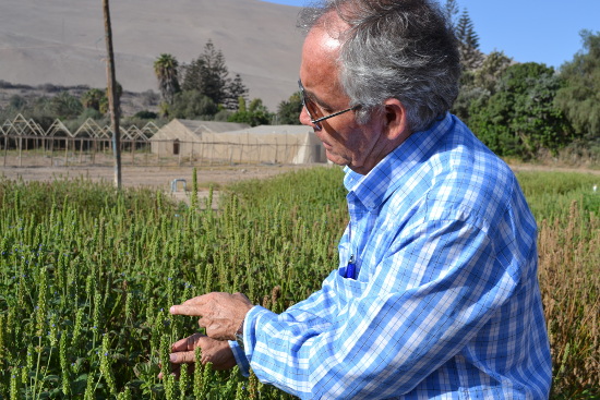 Imagen foto_00000001