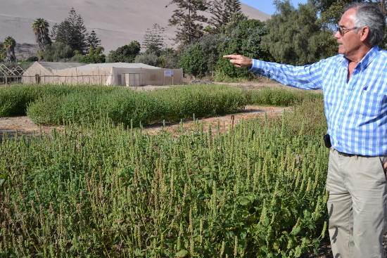 Imagen foto_00000002