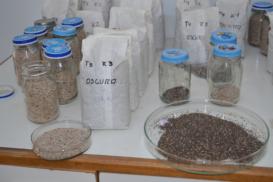 Imagen foto_00000003