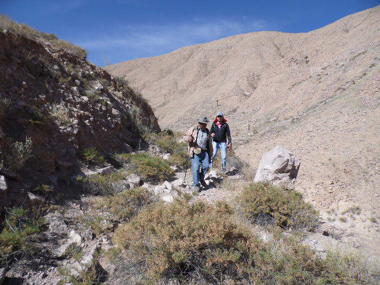 Imagen foto_00000003