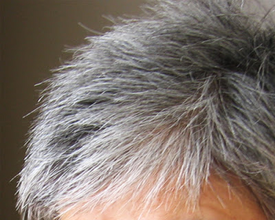 Imagen foto_00000001