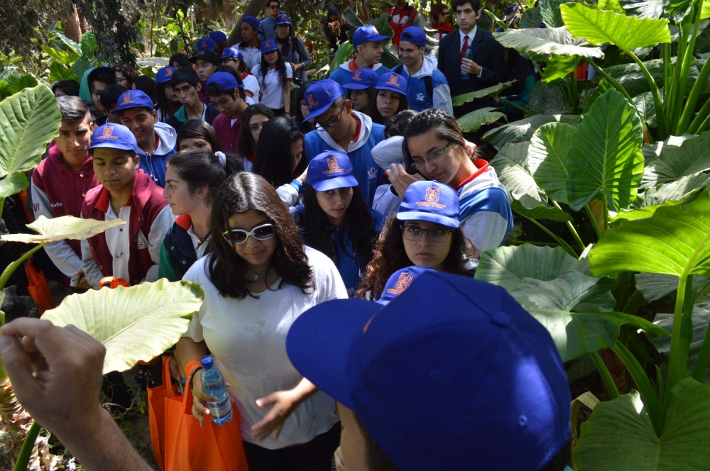Imagen foto_00000004