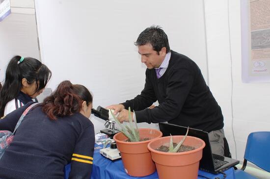 Imagen foto_00000006