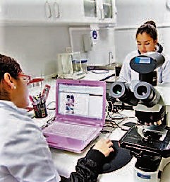 Imagen foto_00000001