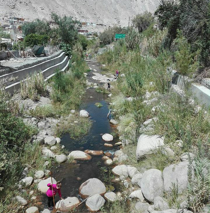 Imagen foto_00000001