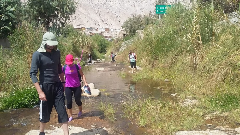 Imagen foto_00000002