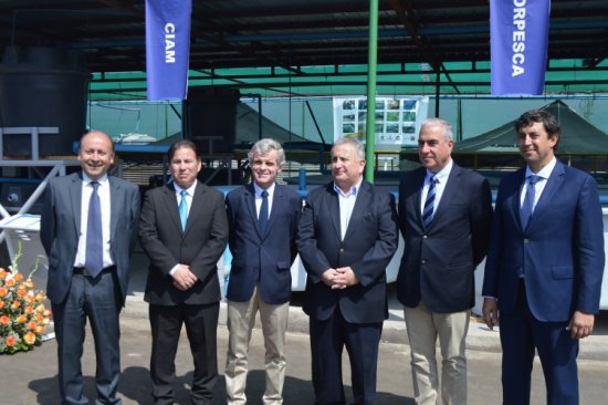 Imagen foto_00000003