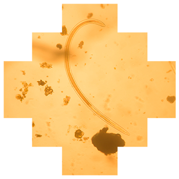 2.200